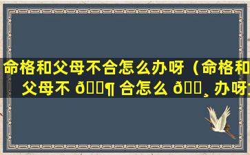 命格和父母不合怎么办呀（命格和父母不 🐶 合怎么 🌸 办呀女生）